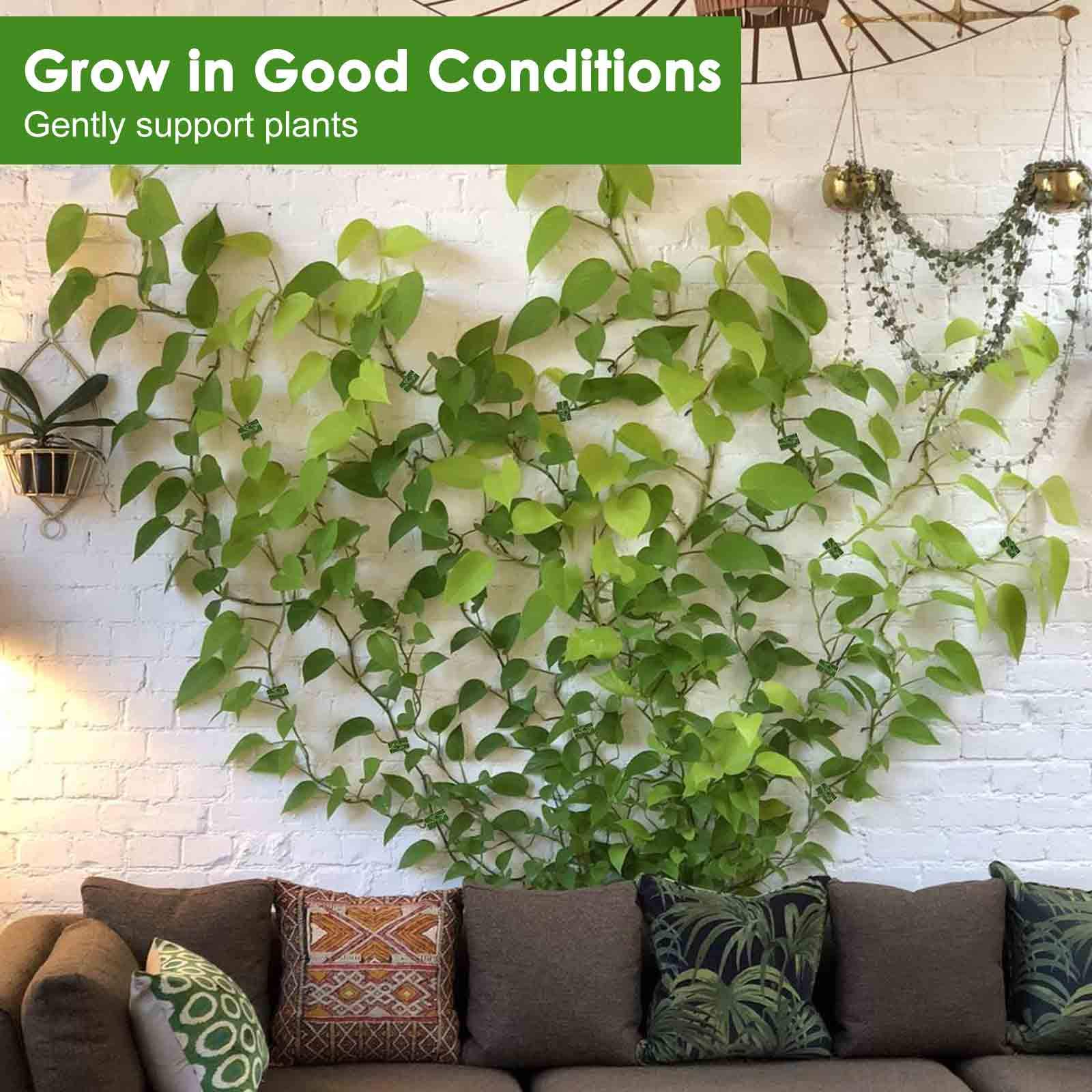 Invisible Plant Fixture Clip Climbing Wall Self Adhesive Tied Vine Buckle Hook