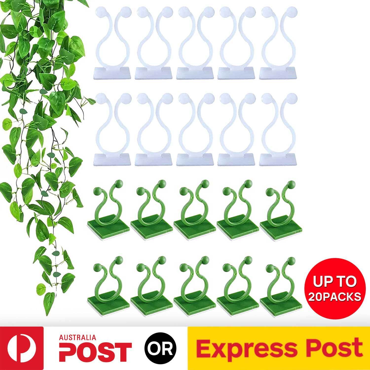 Invisible Plant Fixture Clip Climbing Wall Self Adhesive Tied Vine Buckle Hook