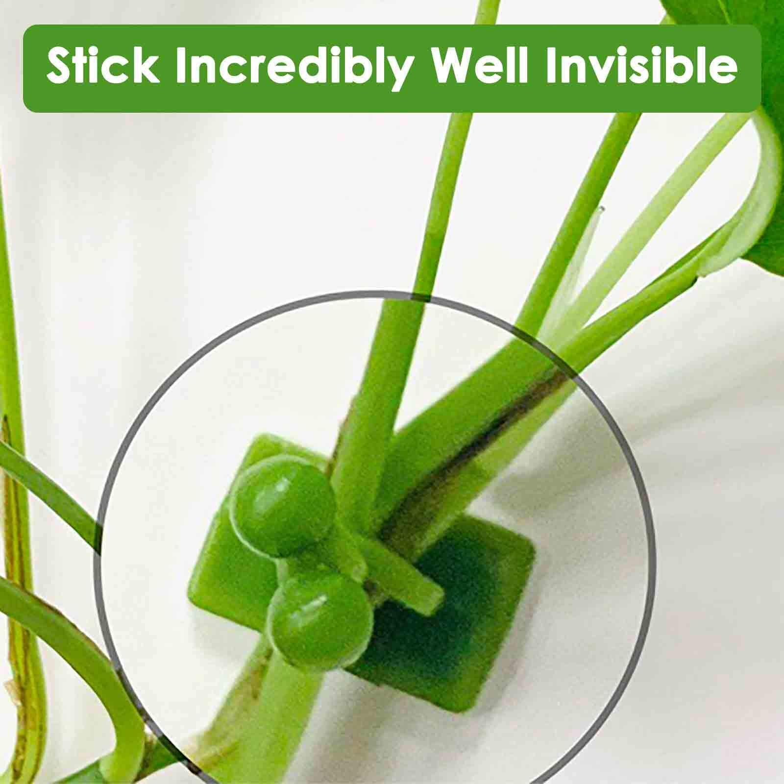 Invisible Plant Fixture Clip Climbing Wall Self Adhesive Tied Vine Buckle Hook