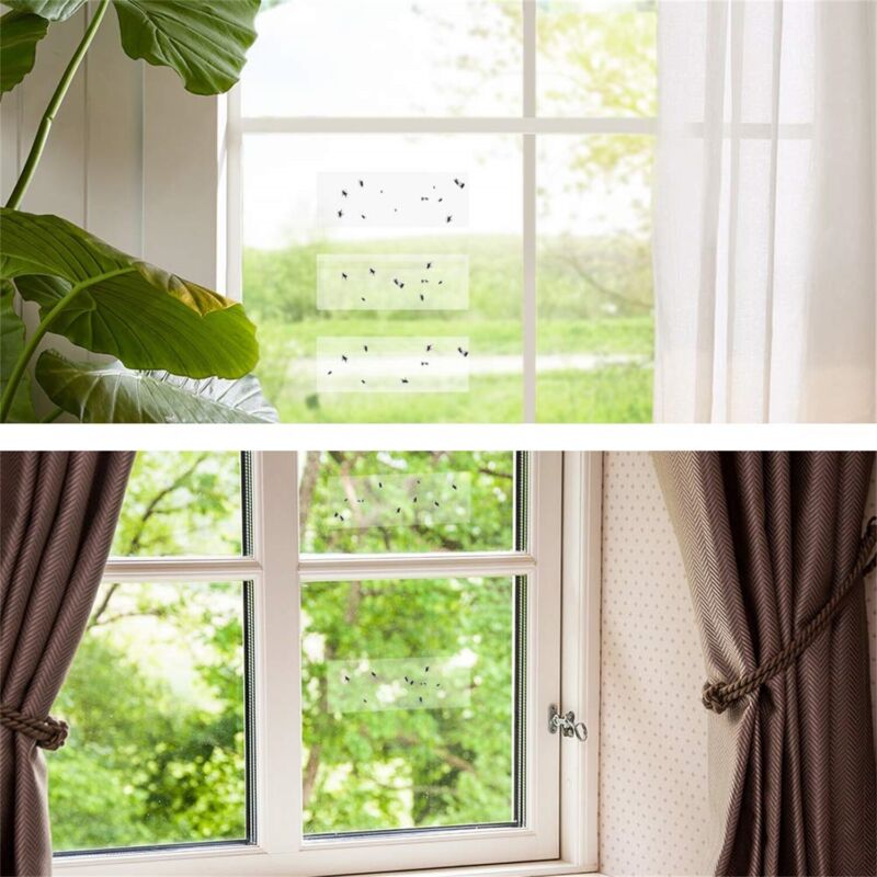 1-20x Window Fly Traps Clear Sticky Insect Trap Catcher Killer Fly Aphids Wasp