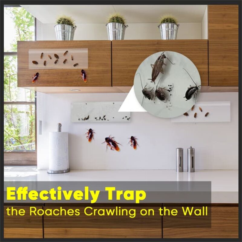 1-20x Window Fly Traps Clear Sticky Insect Trap Catcher Killer Fly Aphids Wasp